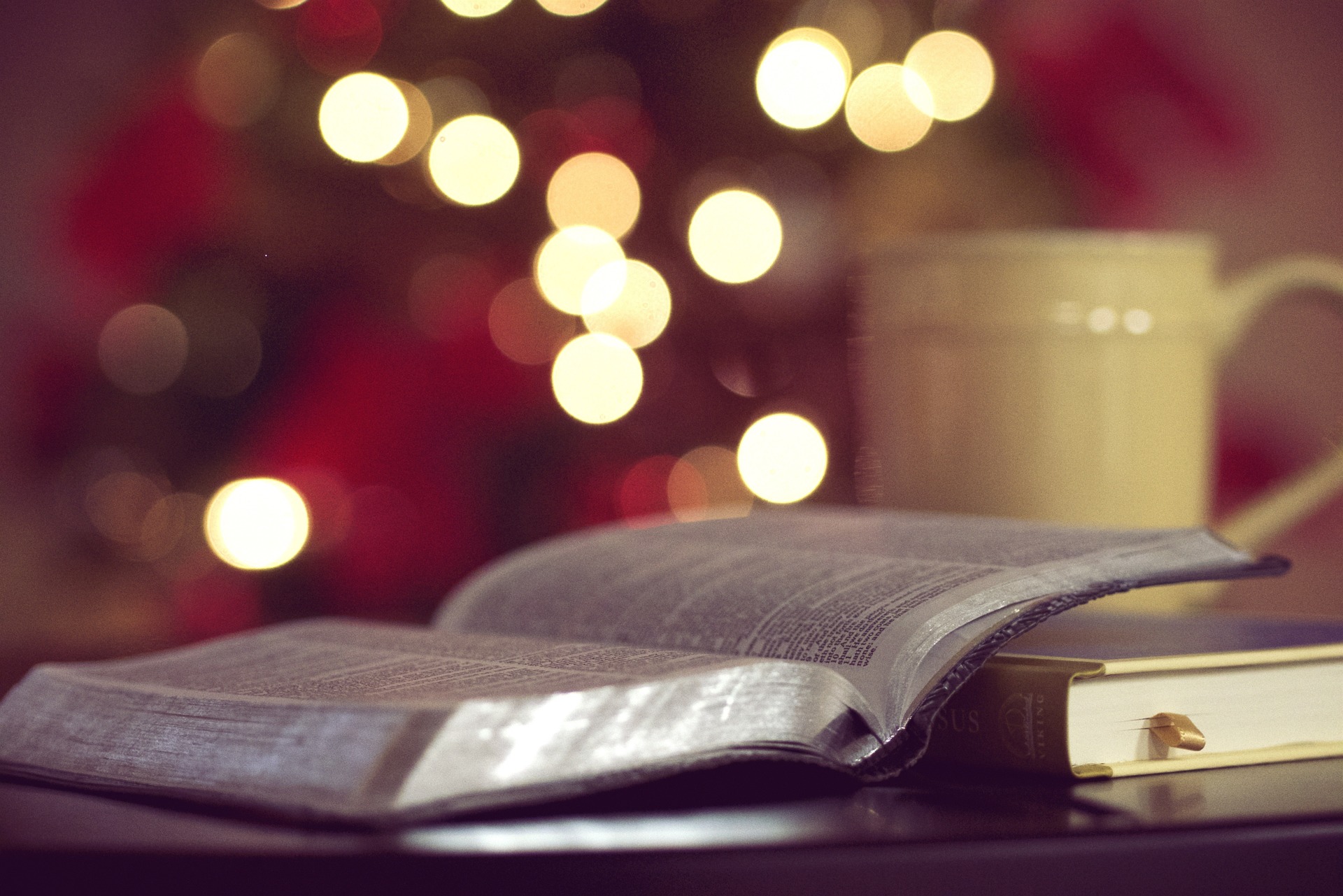 Boek kerst